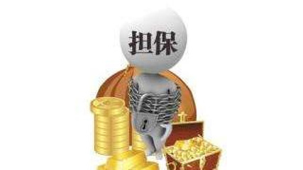 非融資性擔保 金融領域的重要補充