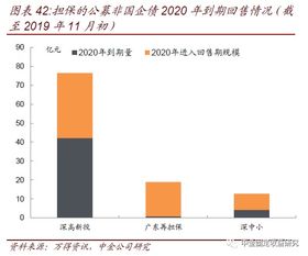 透過城投與非國企債擔(dān)保，解析專業(yè)擔(dān)保公司信用風(fēng)險跟蹤