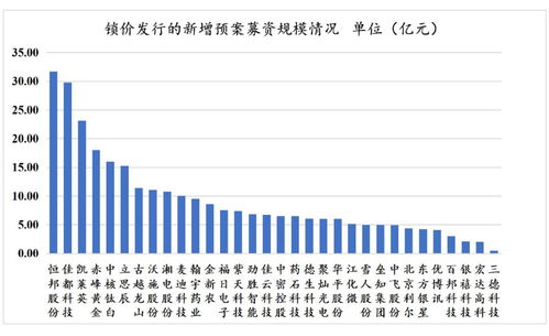 再融資新政下非公開發(fā)行戰(zhàn)略投資者深度研究 聚焦非融資性擔(dān)保機構(gòu)的角色與挑戰(zhàn)